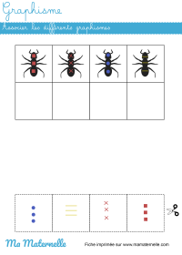 Grande section - Discrimination visuelle : placer les chemins