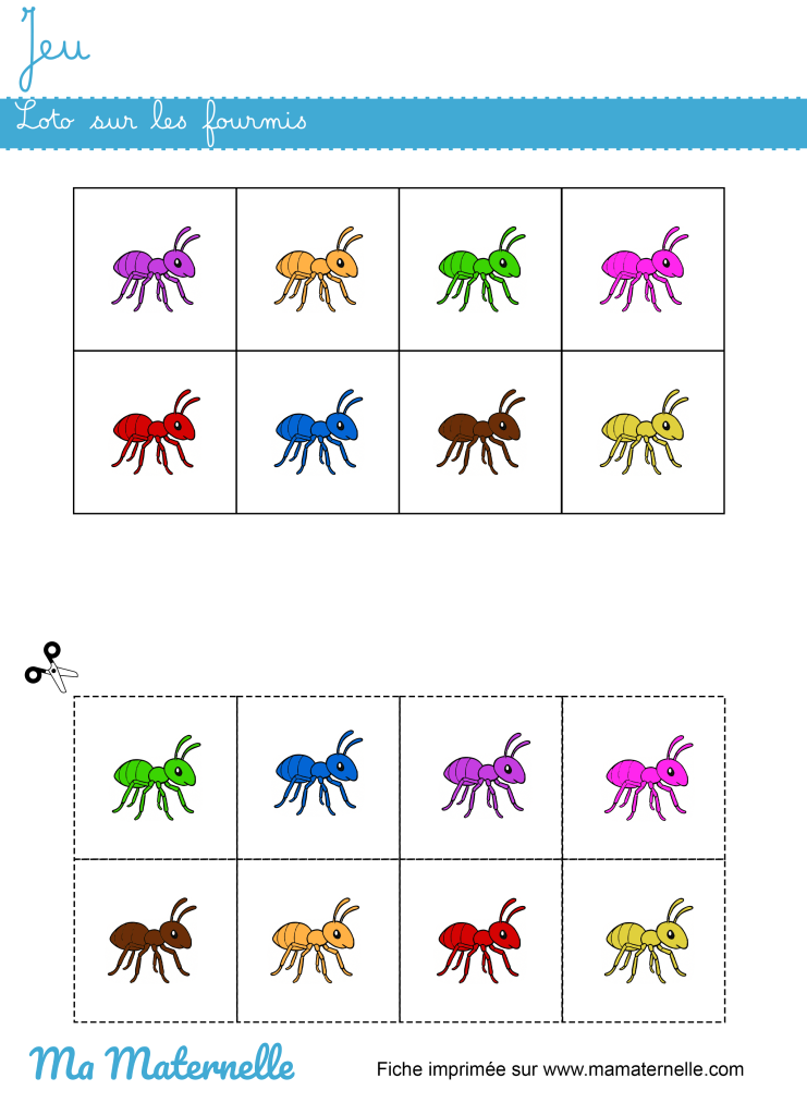 Activités - Jeu : loto sur les fourmis
