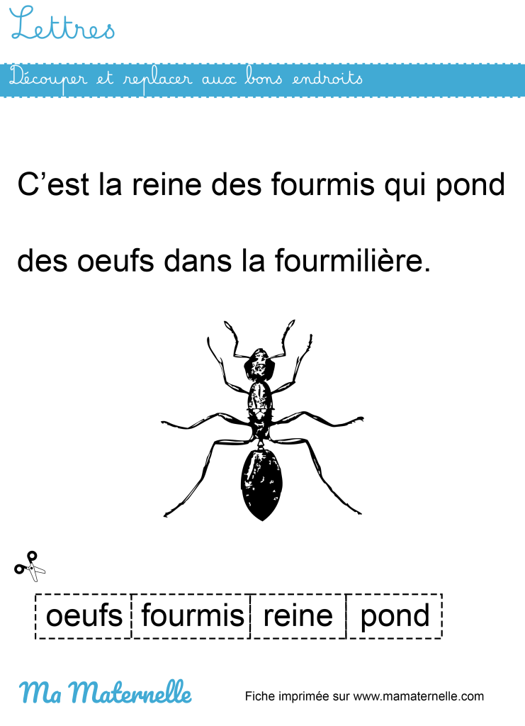 Grande section - Lettres : découper et replacer aux bons endroits