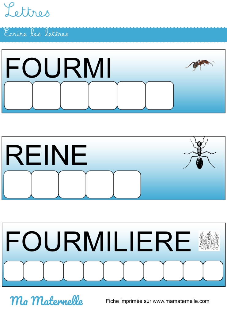 Moyenne section - Lettres : écrire les lettres