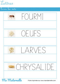 Moyenne section - Lettres : écrire les lettres