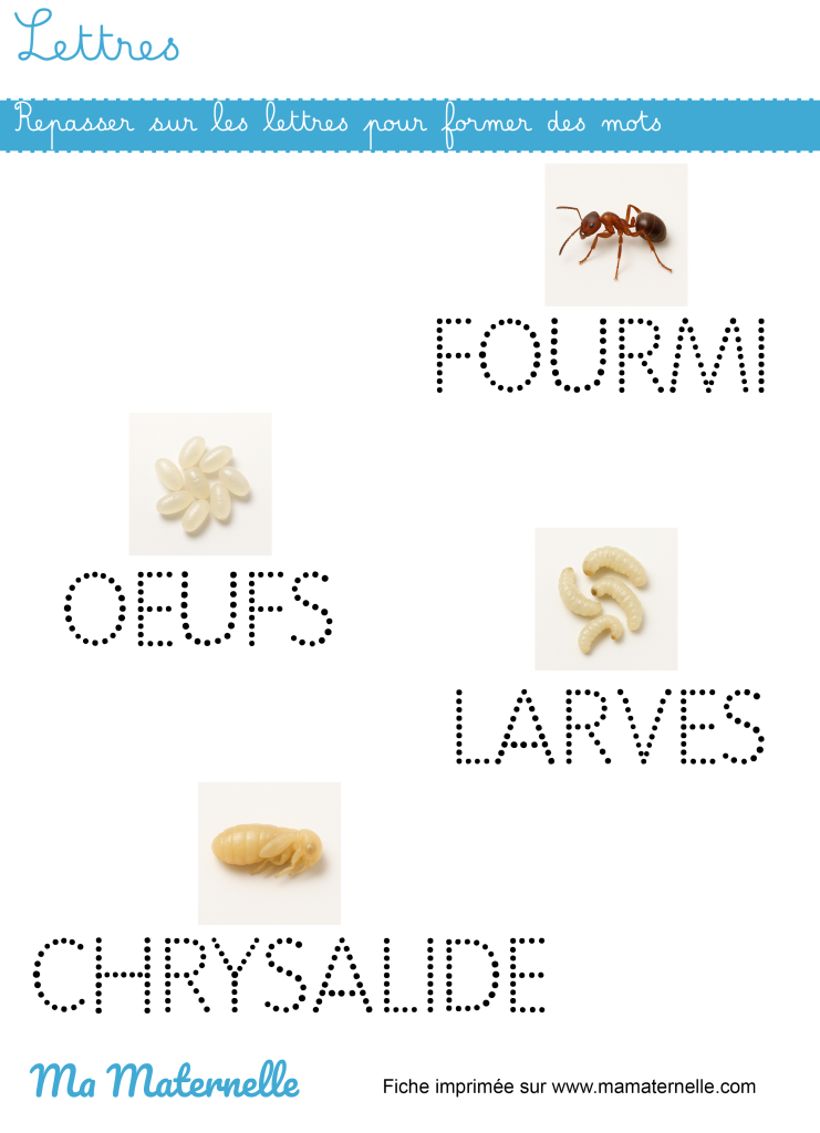 Moyenne section - Lettres : repasser sur les lettres pour former des mots