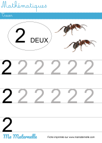Moyenne section - Mathématiques : tracer