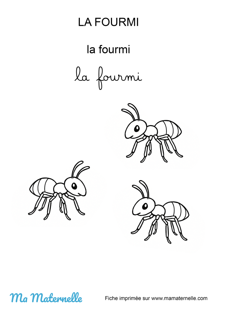 Activités - Activité : page de garde
