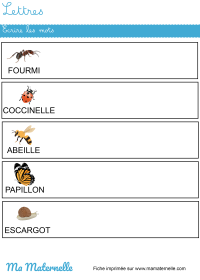 Grande section - Lettres : relier le mot à l&rsquo;image correspondante