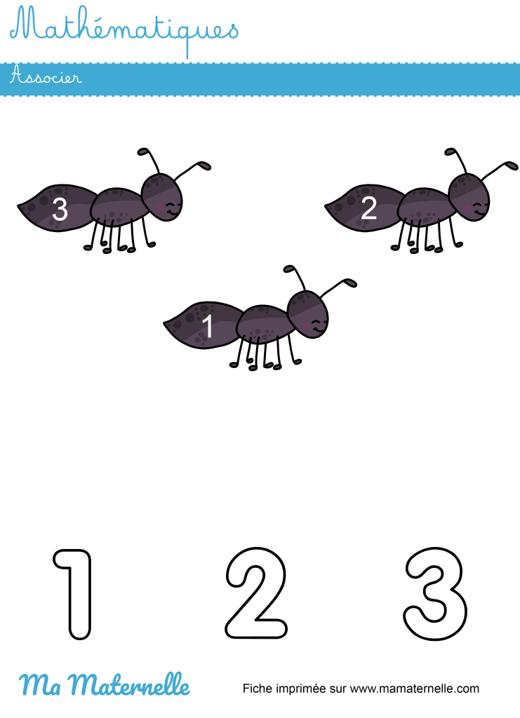 Petite section - Mathématiques : associer