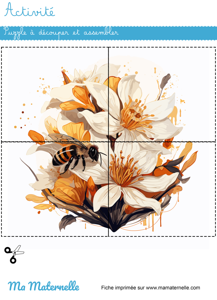 Activités - Activité : puzzle