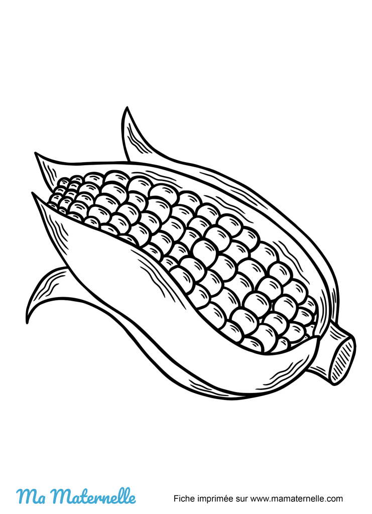 Activités - Activité : colorier