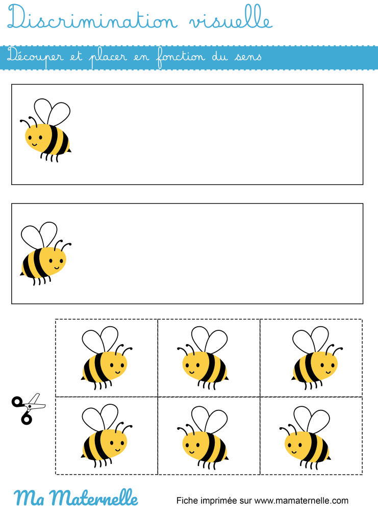 Moyenne section - Discrimination visuelle : placer en fonction du sens