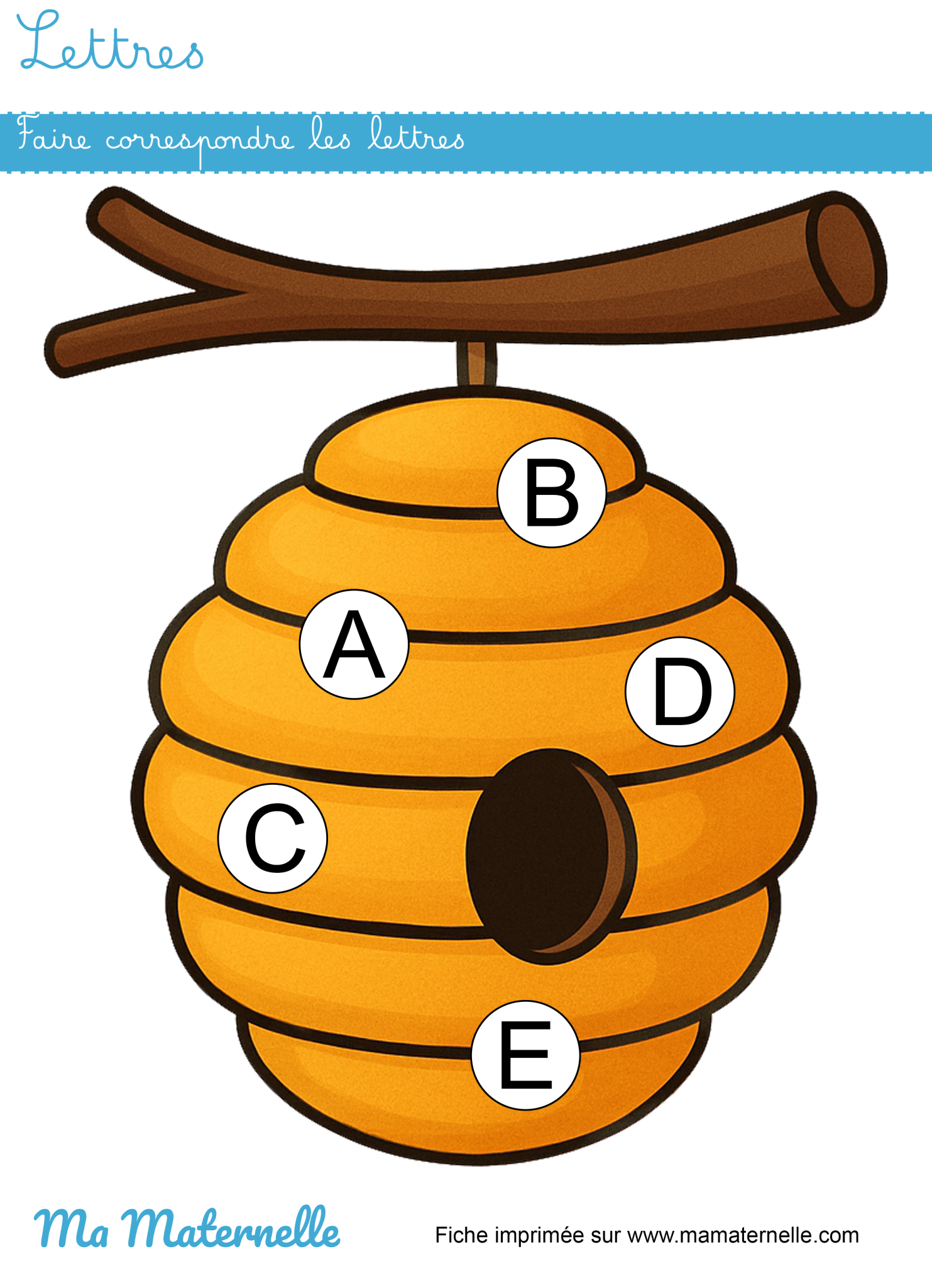 Fausse Abeille En 8 Lettres