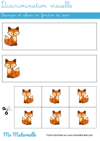 Moyenne section - Discrimination visuelle : placer en fonction des couleurs