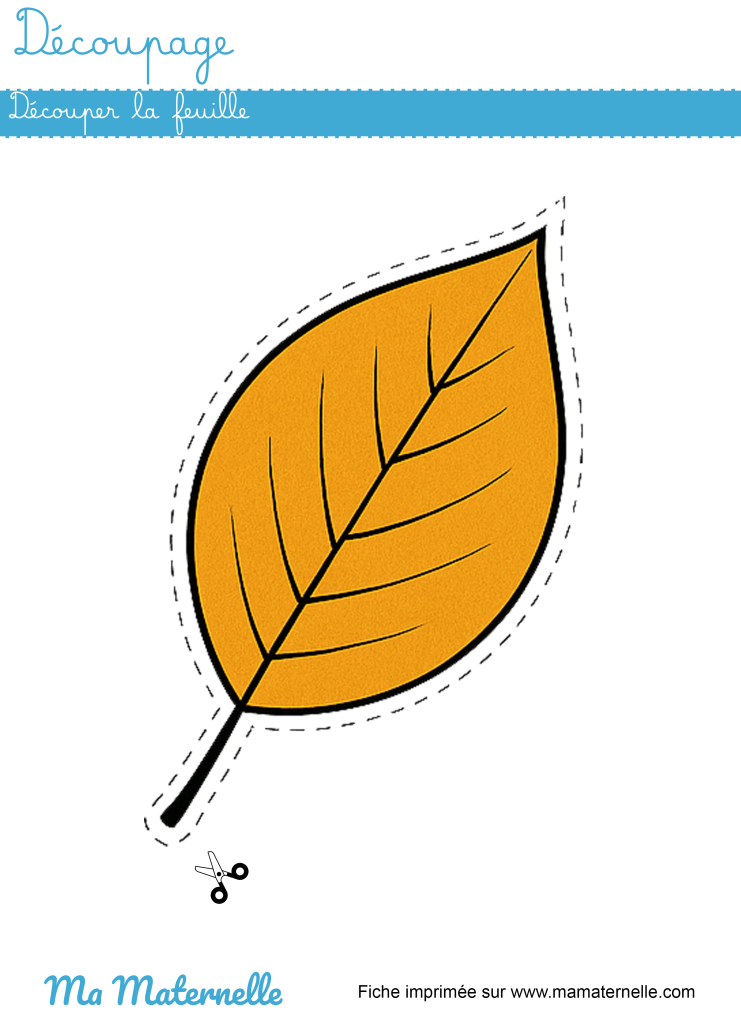Moyenne section - Découpage : découper la feuille