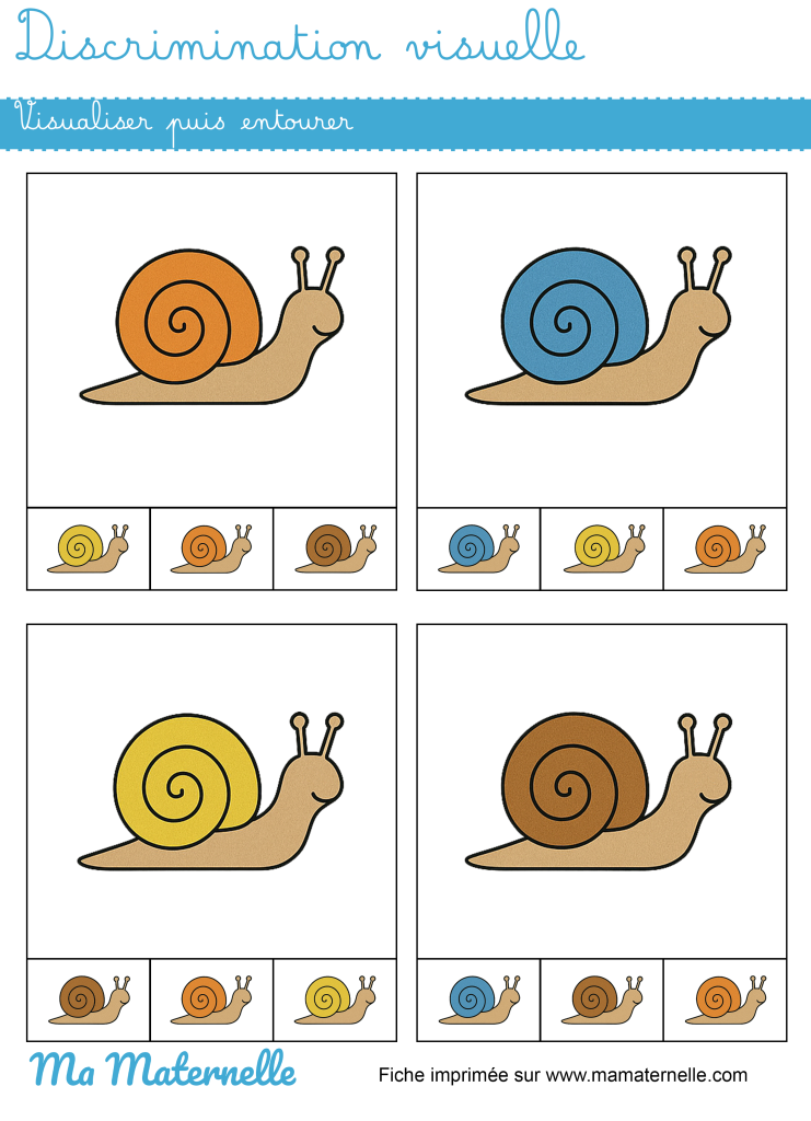 Moyenne section - Discrimination visuelle : visualiser puis entourer