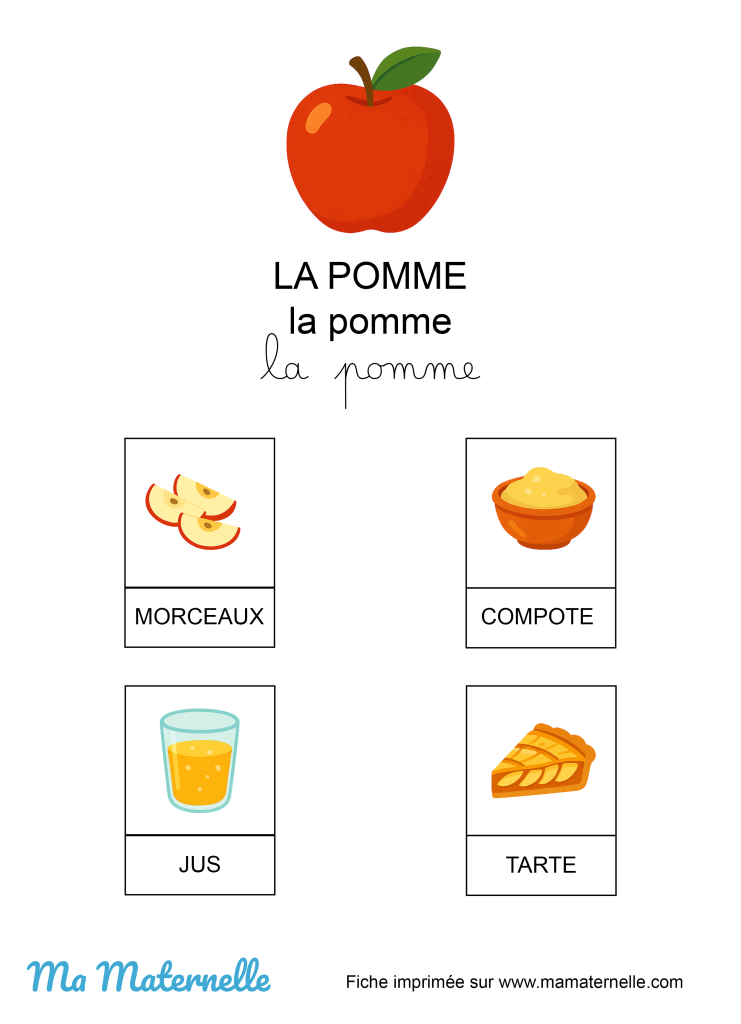 Activités - Fiche informative : la pomme
