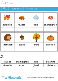 Moyenne section - Lettres : coller les images dans les bonnes cases
