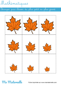 Moyenne section - Mathématiques : découper puis classer