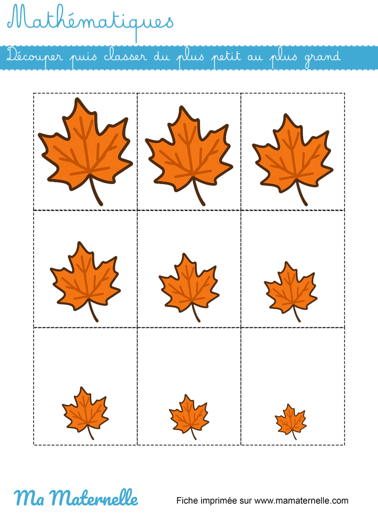 Grande section - Mathématiques : découper puis classer