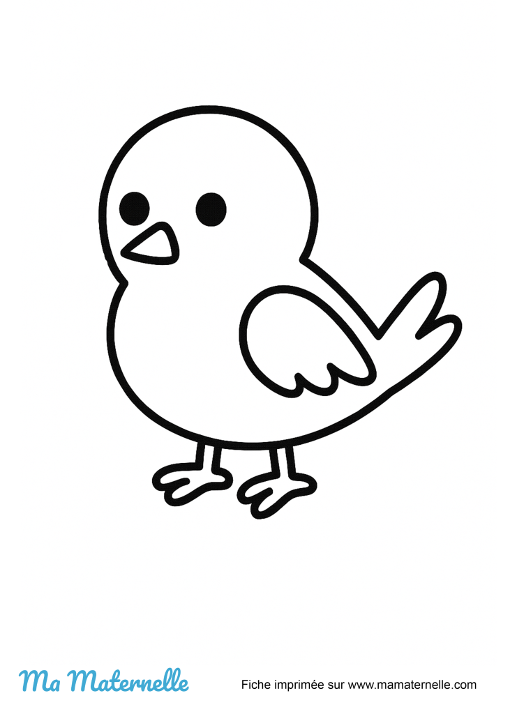 Activités - Activité : coloriage