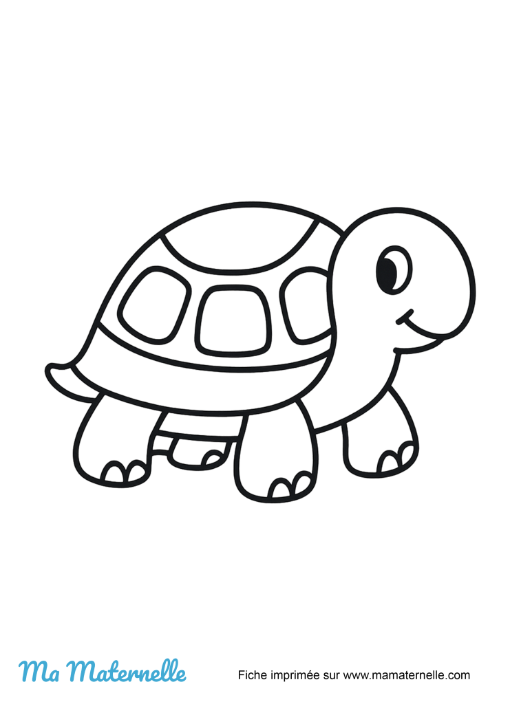 Activités - Activité : coloriage