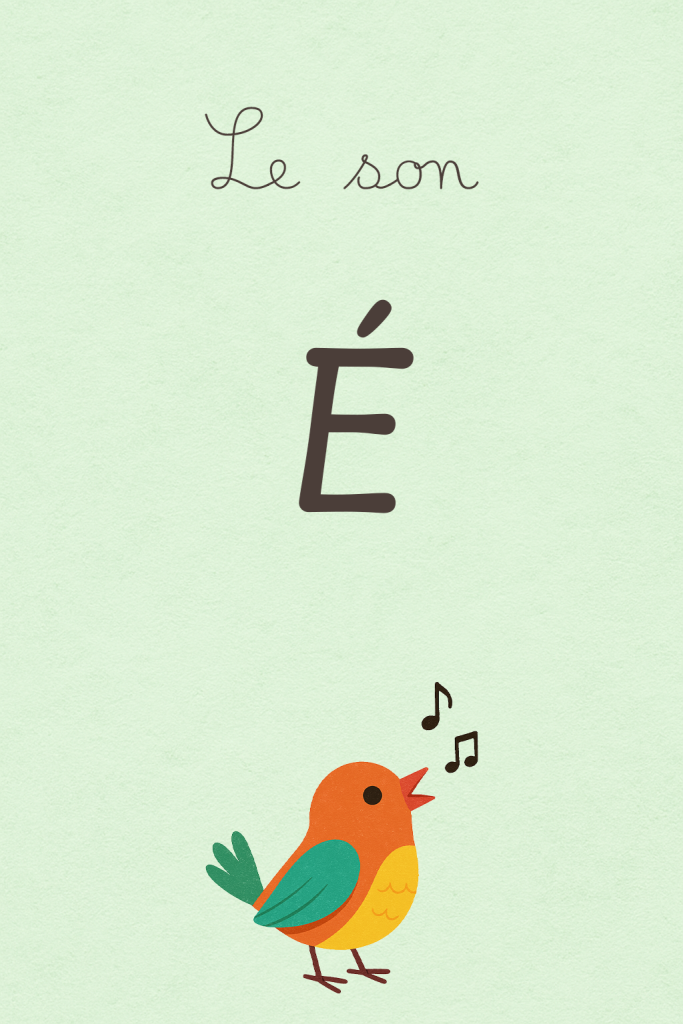 Blog - Mini-série : le son É