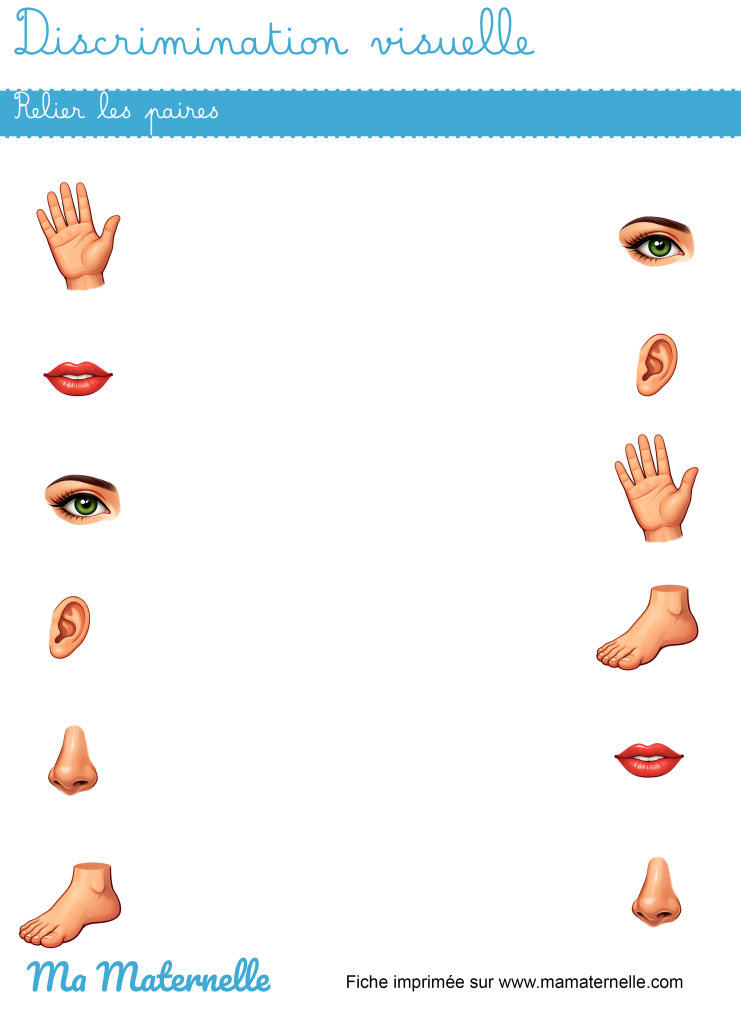 Moyenne section - Discrimination visuelle : relier les paires