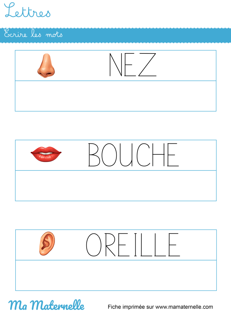 Moyenne section - Lettres : écrire les mots