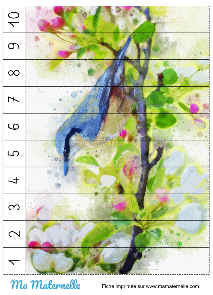 Activités - Activité : découper et reconstituer le puzzle