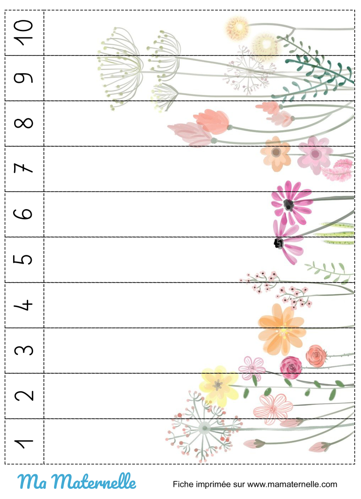 Activités - Activité : découper et reconstituer le puzzle