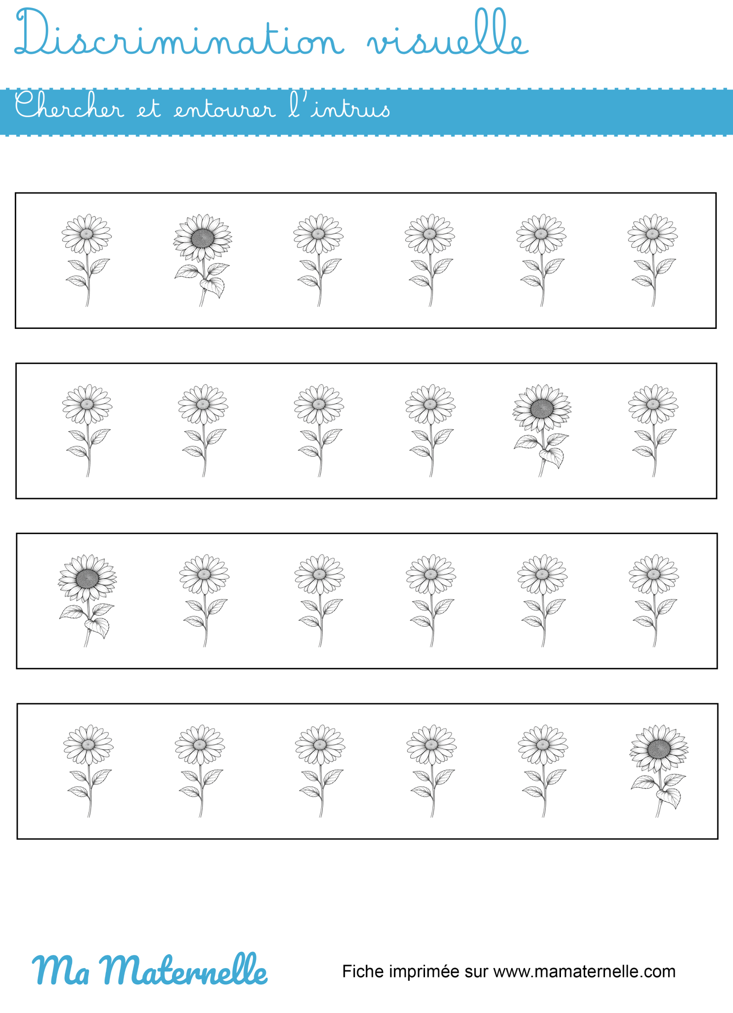 Discrimination visuelle : chercher et entourer l'intrus - Ma Maternelle