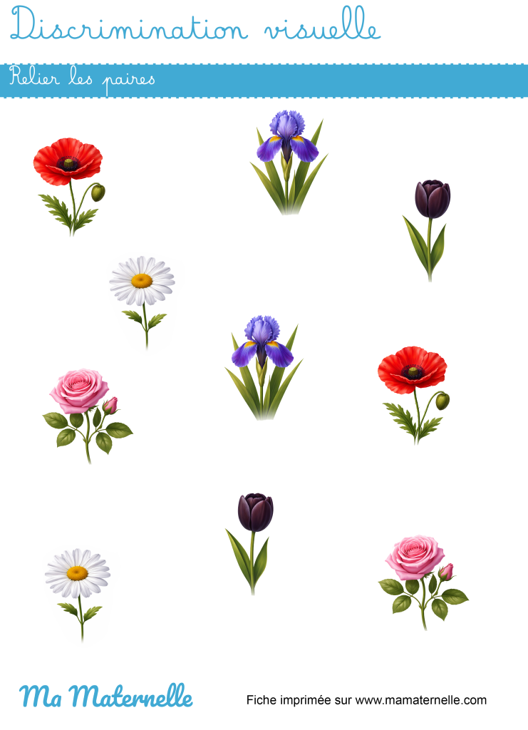 Grande section - Discrimination visuelle : relier les paires