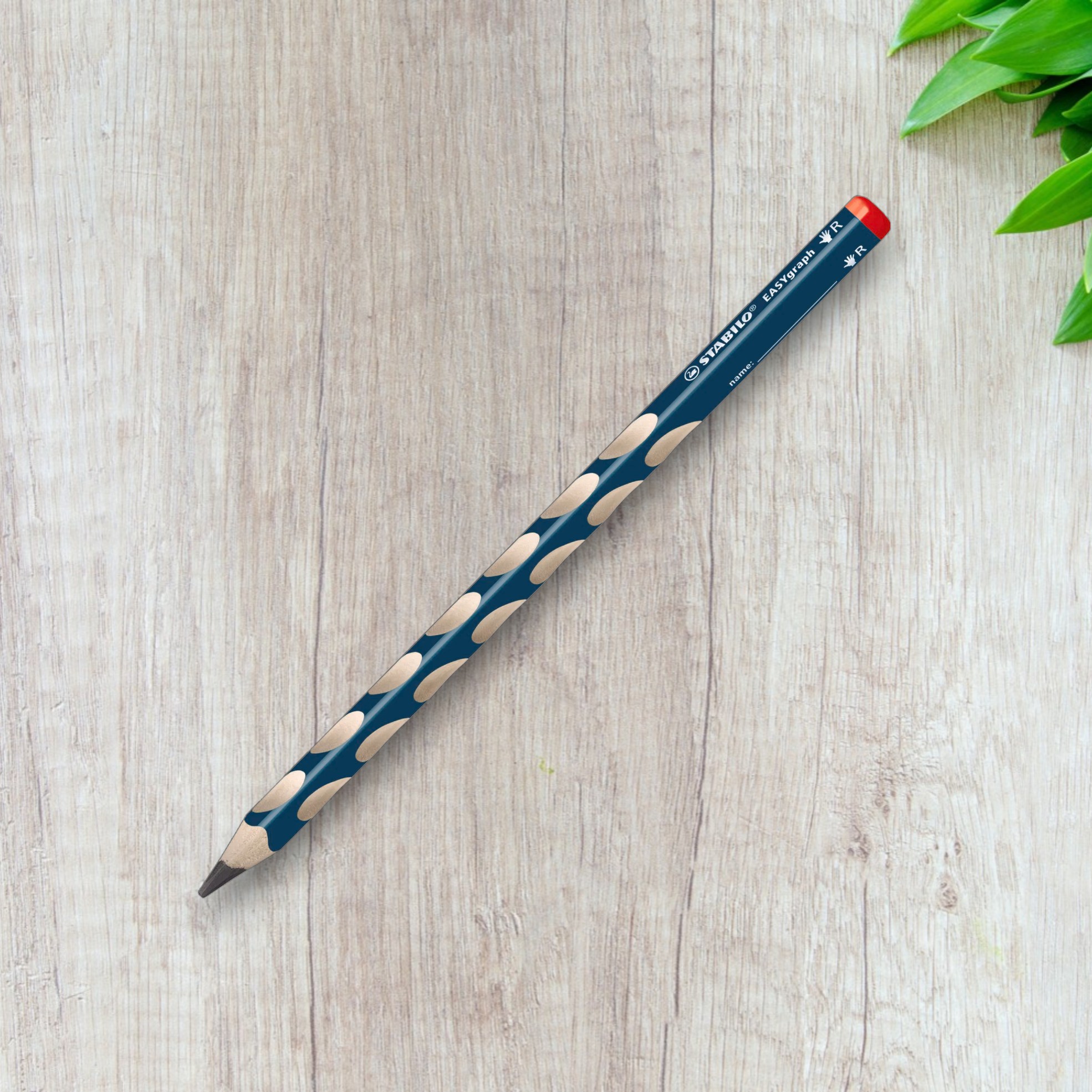 Crayon Stabilo EASYgraph