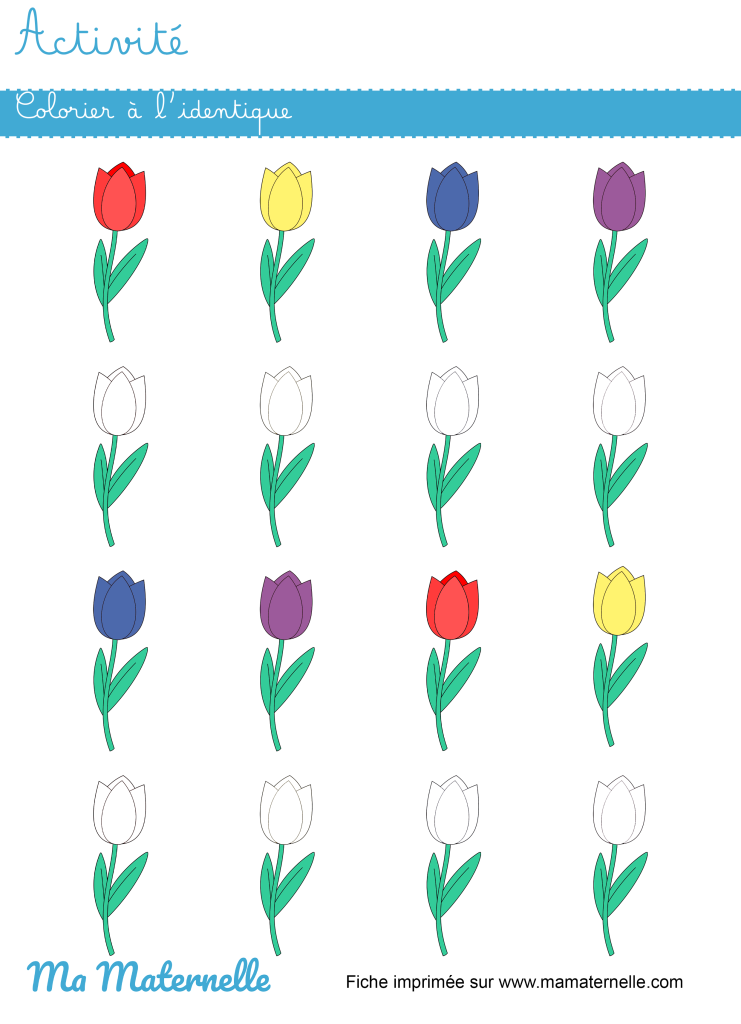 Activités - Activité : colorier à l&rsquo;identique