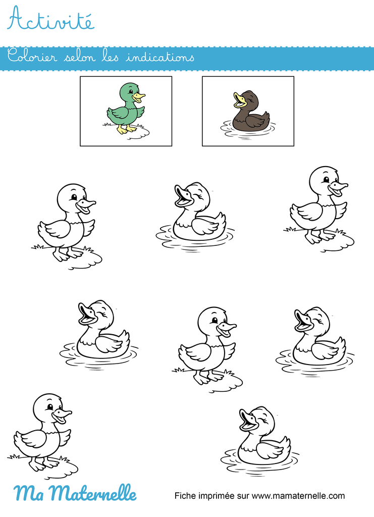 Activités - Activité : colorier selon les indications