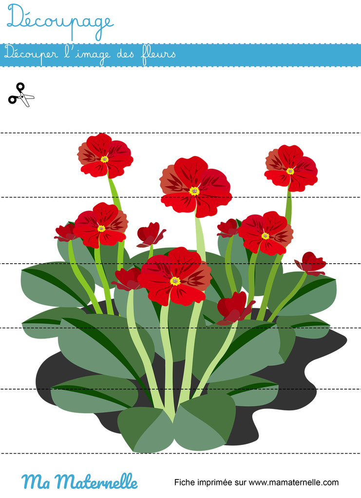 Moyenne section - Découpage : découper l&rsquo;image des fleurs