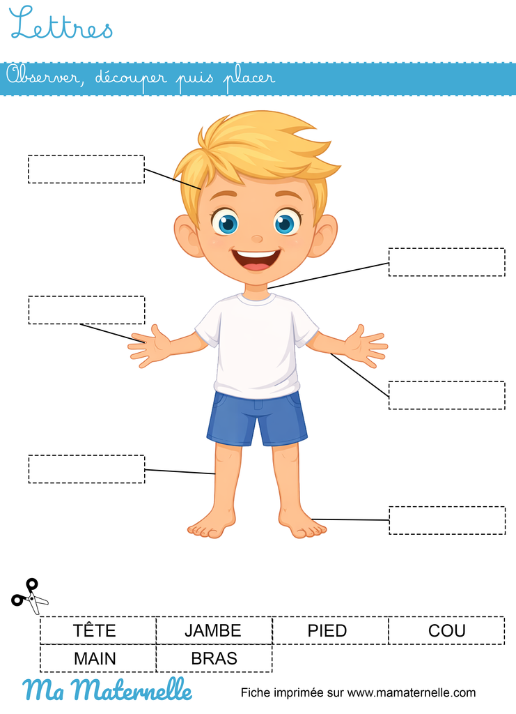 Grande section - Lettres : observer, découper puis placer