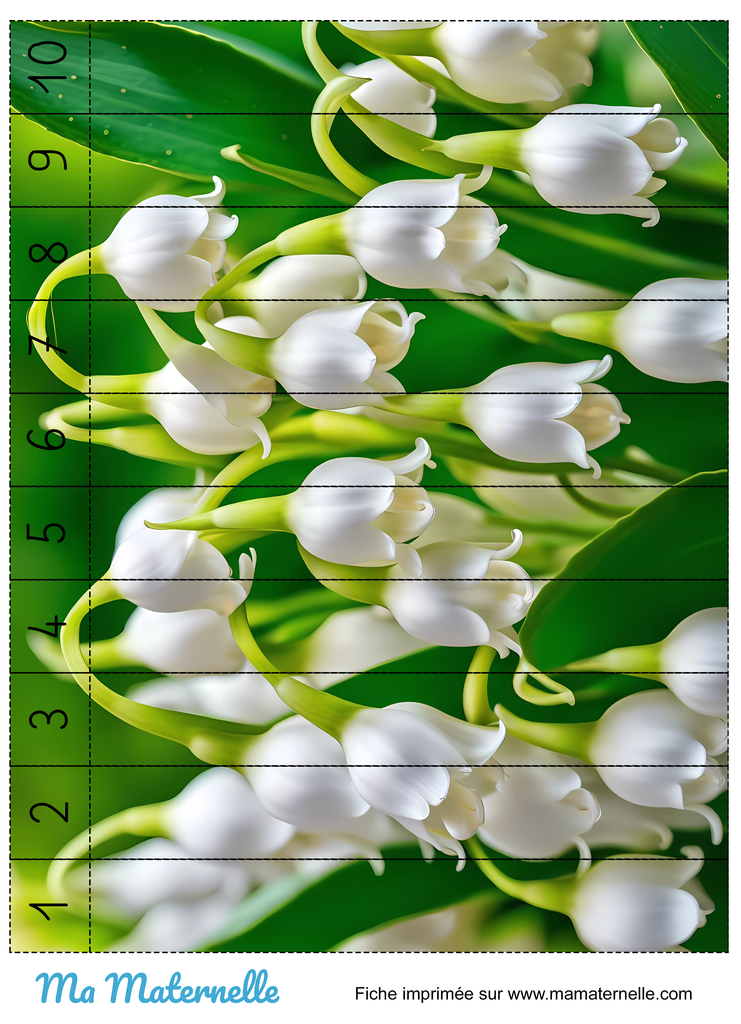 Activités - Activité : découper et reconstituer le puzzle