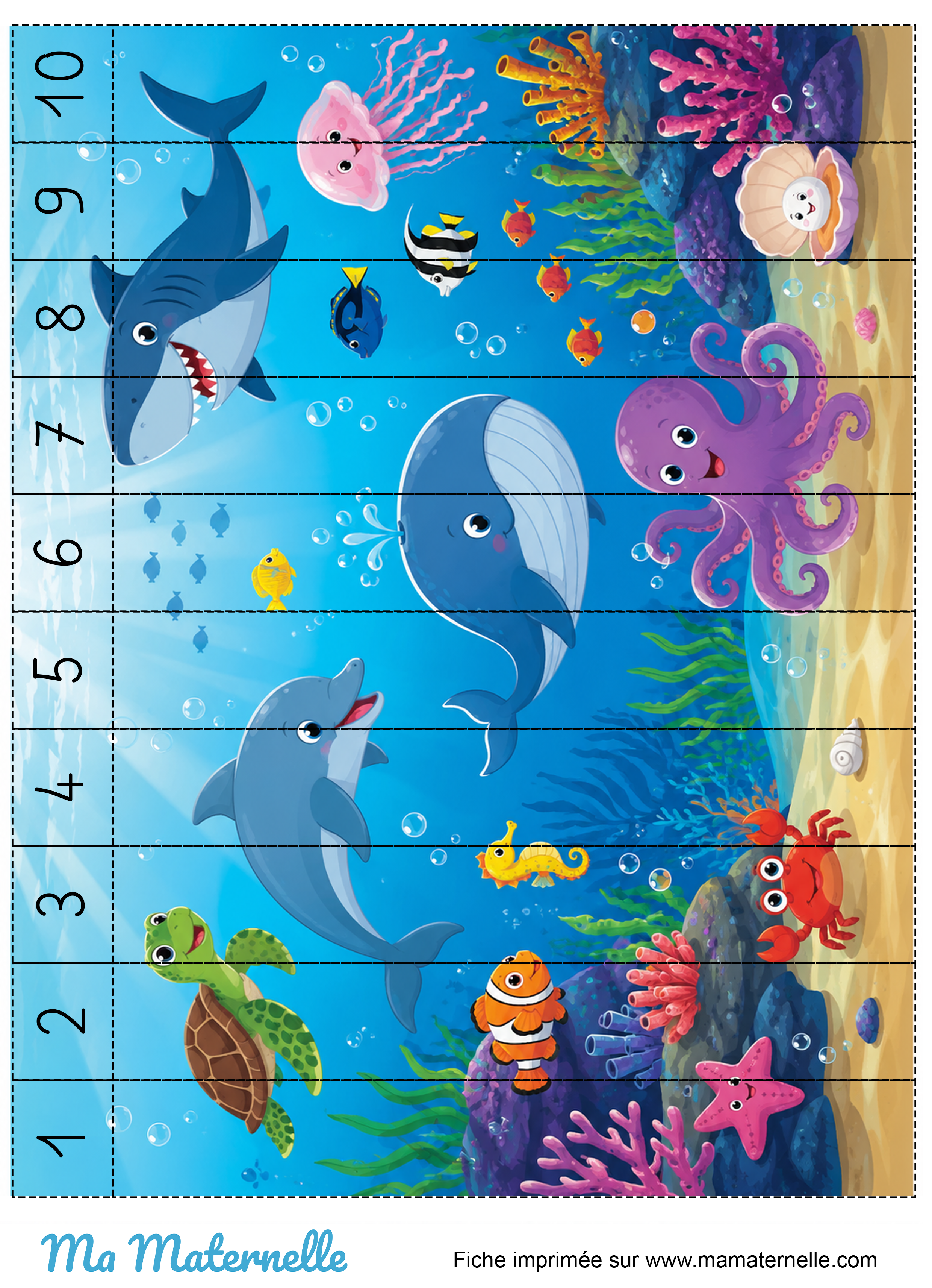 Activités - Activité : découper et reconstituer le puzzle