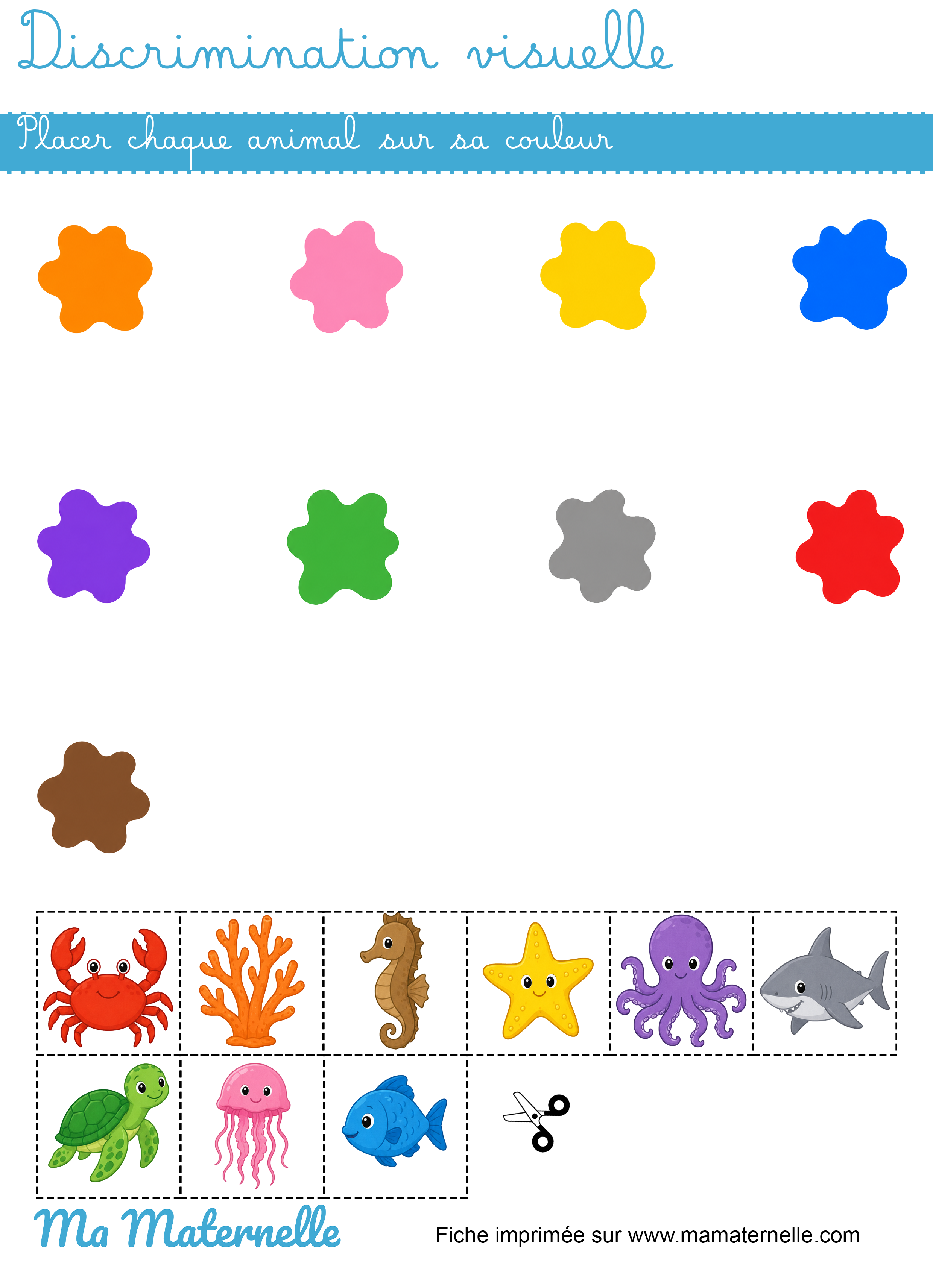 Petite section - Discrimination visuelle : placer chaque animal sur sa couleur