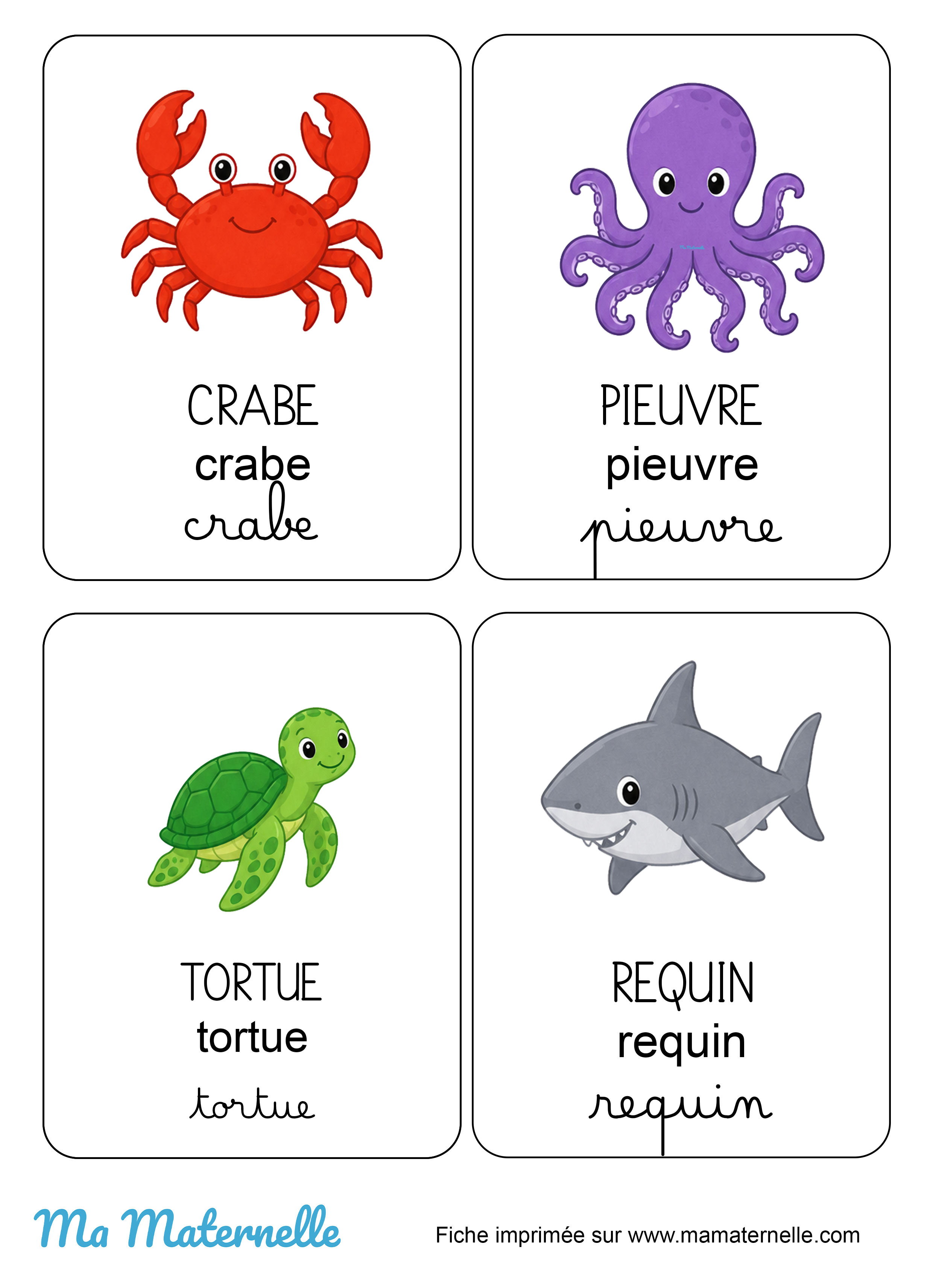 Activités - Imagier : les animaux marins