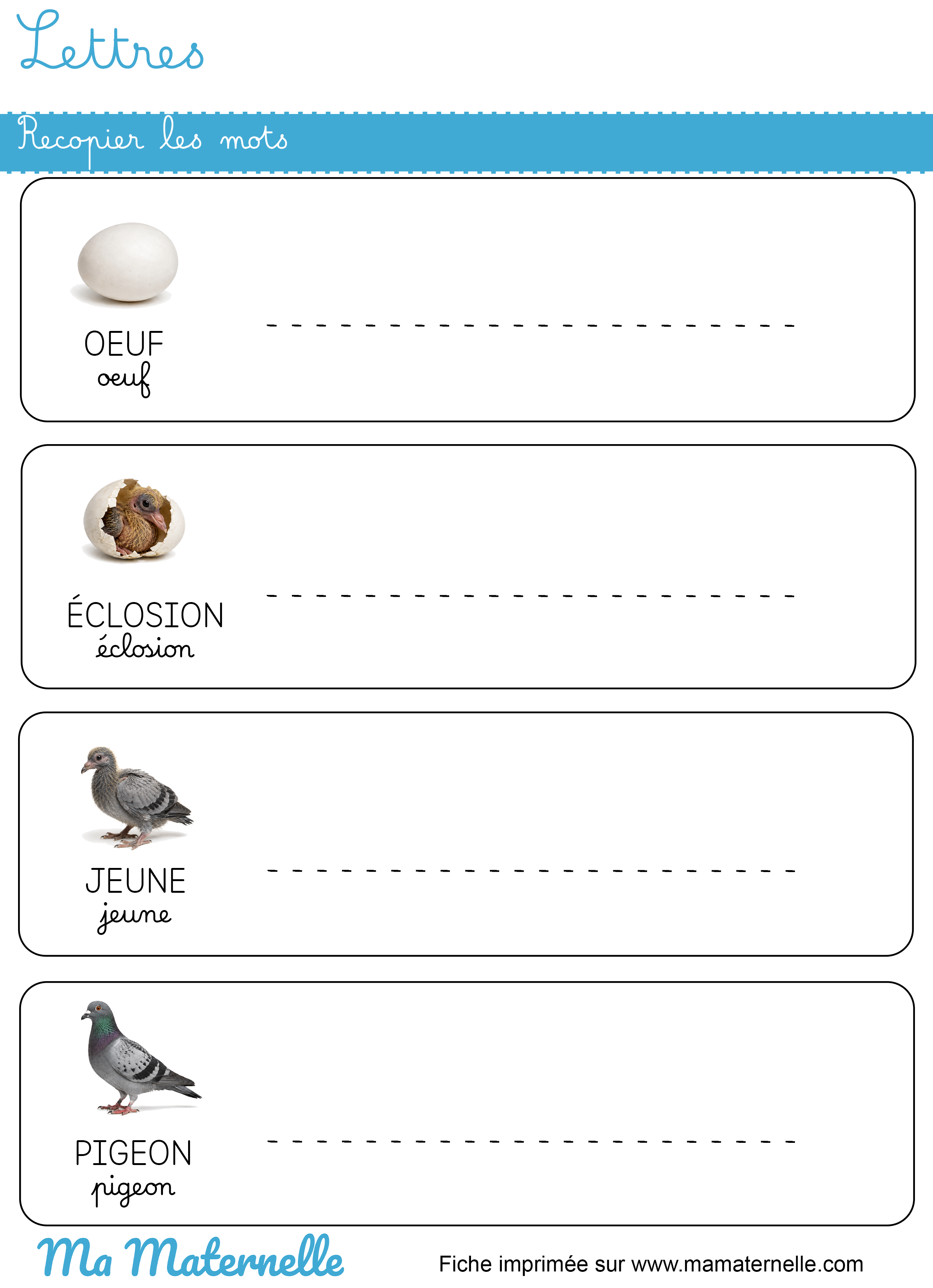 Grande section - Lettres : recopier les mots