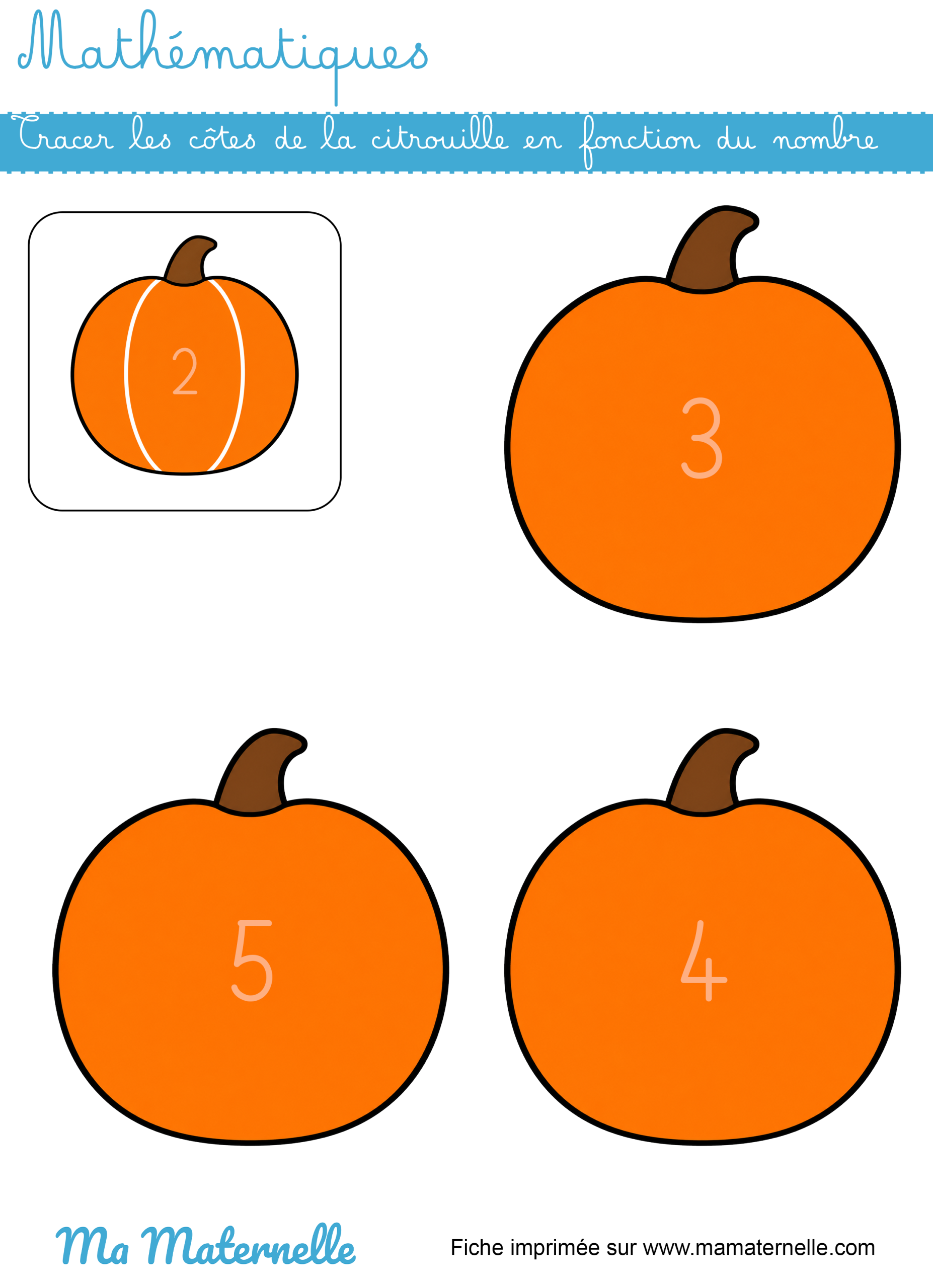 Moyenne section - Mathématiques : tracer les côtes de la citrouille selon le nombre