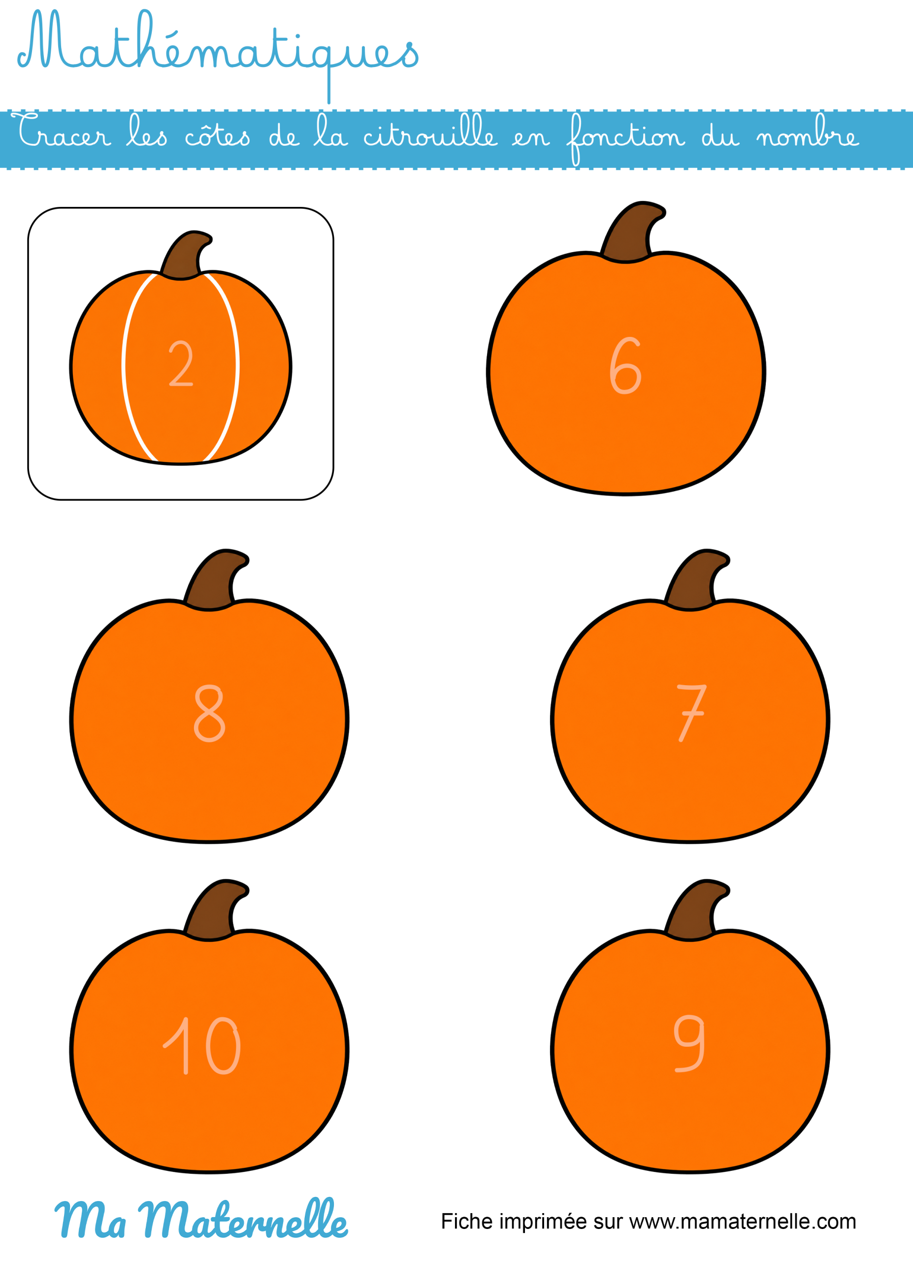 Grande section - Mathématiques : tracer les côtes de la citrouille selon le nombre