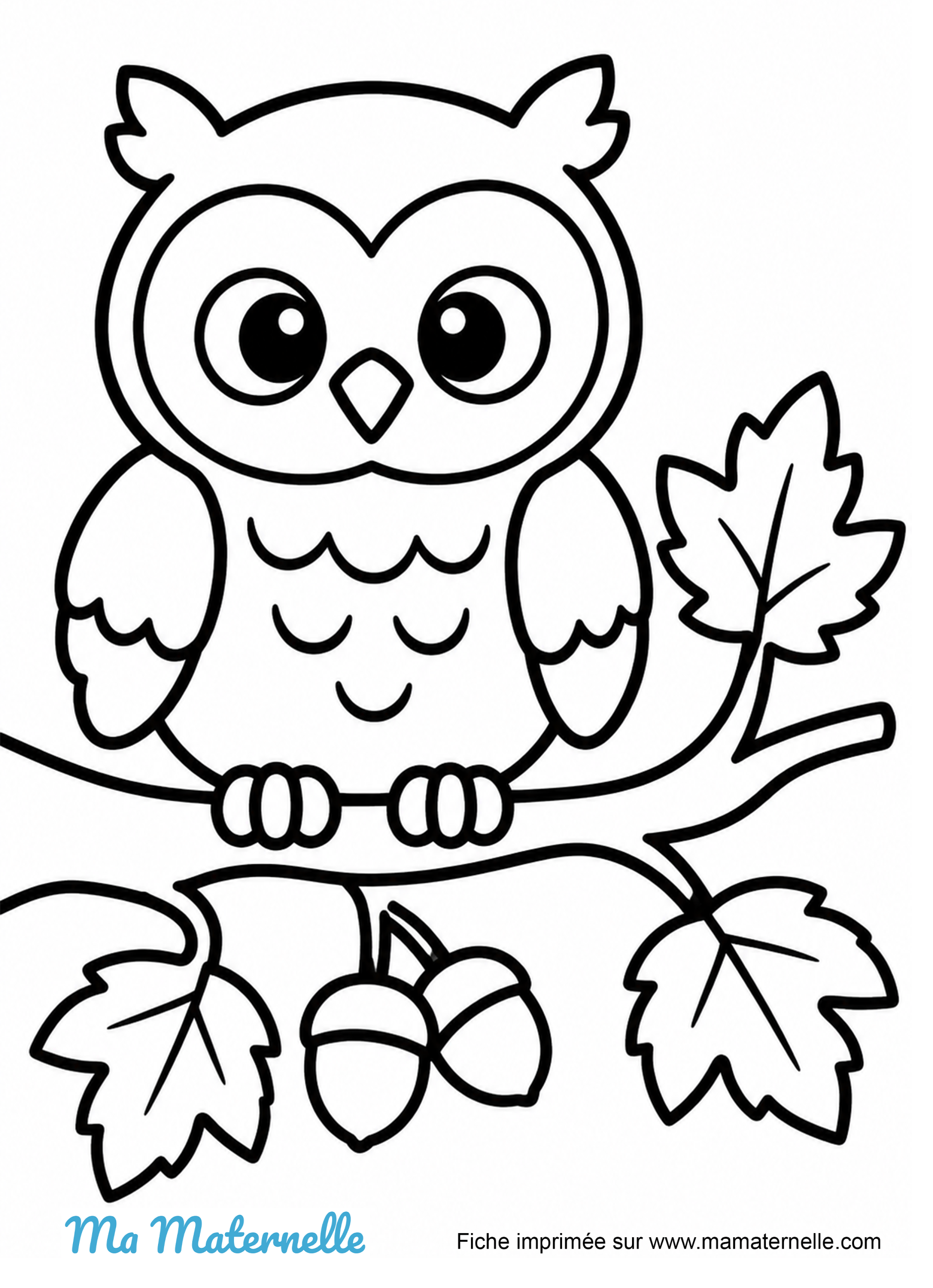 Activités - Coloriage automnal : chouette, feuilles et glands